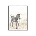 Picture of Summer Zebra _GroupedProduct_Rectangle_Portrait_Mini_ _GroupedProduct_Rectangle_Portrait_Canvas_Framed_