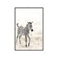 Picture of Summer Zebra _GroupedProduct_Rectangle_Portrait_Mini_ _GroupedProduct_Rectangle_Portrait_Canvas_Framed_