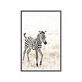 Picture of Summer Zebra _GroupedProduct_Rectangle_Portrait_Mini_ _GroupedProduct_Rectangle_Portrait_Canvas_Framed_