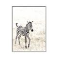 Picture of Summer Zebra _GroupedProduct_Rectangle_Portrait_Mini_ _GroupedProduct_Rectangle_Portrait_Canvas_Framed_