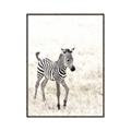 Picture of Summer Zebra _GroupedProduct_Rectangle_Portrait_Mini_ _GroupedProduct_Rectangle_Portrait_Canvas_Framed_