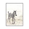 Picture of Summer Zebra _GroupedProduct_Rectangle_Portrait_Mini_ _GroupedProduct_Rectangle_Portrait_Canvas_Framed_