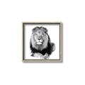Picture of Lion Black and White _GroupedProduct_Square_Mini_ _GroupedProduct_Square_Canvas_Framed_
