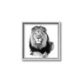 Picture of Lion Black and White _GroupedProduct_Square_Mini_ _GroupedProduct_Square_Canvas_Framed_