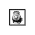 Picture of Lion Black and White _GroupedProduct_Square_Mini_ _GroupedProduct_Square_Canvas_Framed_