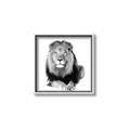 Picture of Lion Black and White _GroupedProduct_Square_Mini_ _GroupedProduct_Square_Canvas_Framed_