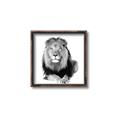 Picture of Lion Black and White _GroupedProduct_Square_Mini_ _GroupedProduct_Square_Canvas_Framed_