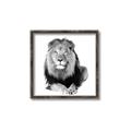 Picture of Lion Black and White _GroupedProduct_Square_Mini_ _GroupedProduct_Square_Canvas_Framed_