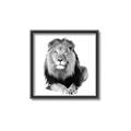 Picture of Lion Black and White _GroupedProduct_Square_Mini_ _GroupedProduct_Square_Canvas_Framed_