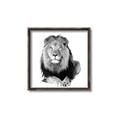 Picture of Lion Black and White _GroupedProduct_Square_Mini_ _GroupedProduct_Square_Canvas_Framed_