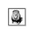 Picture of Lion Black and White _GroupedProduct_Square_Mini_ _GroupedProduct_Square_Canvas_Framed_
