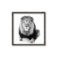 Picture of Lion Black and White _GroupedProduct_Square_Mini_ _GroupedProduct_Square_Canvas_Framed_