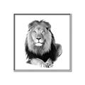 Picture of Lion Black and White _GroupedProduct_Square_Mini_ _GroupedProduct_Square_Canvas_Framed_