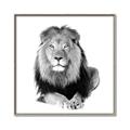Picture of Lion Black and White _GroupedProduct_Square_Mini_ _GroupedProduct_Square_Canvas_Framed_