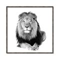 Picture of Lion Black and White _GroupedProduct_Square_Mini_ _GroupedProduct_Square_Canvas_Framed_