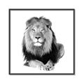 Picture of Lion Black and White _GroupedProduct_Square_Mini_ _GroupedProduct_Square_Canvas_Framed_