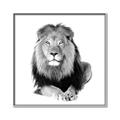 Picture of Lion Black and White _GroupedProduct_Square_Mini_ _GroupedProduct_Square_Canvas_Framed_