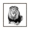 Picture of Lion Black and White _GroupedProduct_Square_Mini_ _GroupedProduct_Square_Canvas_Framed_