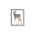 Picture of Behind Deer _GroupedProduct_Rectangle_Portrait_Mini_ _GroupedProduct_Rectangle_Portrait_Canvas_Framed_
