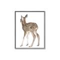 Picture of Behind Deer _GroupedProduct_Rectangle_Portrait_Mini_ _GroupedProduct_Rectangle_Portrait_Canvas_Framed_