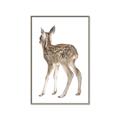 Picture of Behind Deer _GroupedProduct_Rectangle_Portrait_Mini_ _GroupedProduct_Rectangle_Portrait_Canvas_Framed_