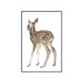 Picture of Behind Deer _GroupedProduct_Rectangle_Portrait_Mini_ _GroupedProduct_Rectangle_Portrait_Canvas_Framed_