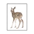 Picture of Behind Deer _GroupedProduct_Rectangle_Portrait_Mini_ _GroupedProduct_Rectangle_Portrait_Canvas_Framed_