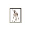Picture of In Front Deer _GroupedProduct_Rectangle_Portrait_Mini_ _GroupedProduct_Rectangle_Portrait_Canvas_Framed_