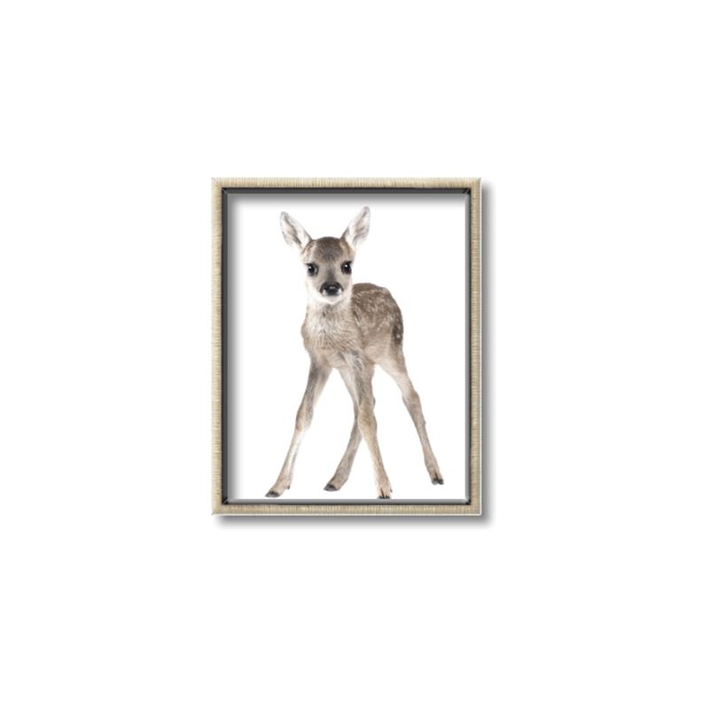 Picture of In Front Deer _GroupedProduct_Rectangle_Portrait_Mini_ _GroupedProduct_Rectangle_Portrait_Canvas_Framed_