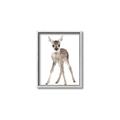 Picture of In Front Deer _GroupedProduct_Rectangle_Portrait_Mini_ _GroupedProduct_Rectangle_Portrait_Canvas_Framed_