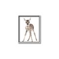 Picture of In Front Deer _GroupedProduct_Rectangle_Portrait_Mini_ _GroupedProduct_Rectangle_Portrait_Canvas_Framed_