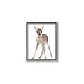 Picture of In Front Deer _GroupedProduct_Rectangle_Portrait_Mini_ _GroupedProduct_Rectangle_Portrait_Canvas_Framed_