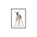Picture of In Front Deer _GroupedProduct_Rectangle_Portrait_Mini_ _GroupedProduct_Rectangle_Portrait_Canvas_Framed_