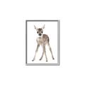 Picture of In Front Deer _GroupedProduct_Rectangle_Portrait_Mini_ _GroupedProduct_Rectangle_Portrait_Canvas_Framed_