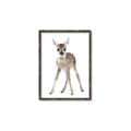 Picture of In Front Deer _GroupedProduct_Rectangle_Portrait_Mini_ _GroupedProduct_Rectangle_Portrait_Canvas_Framed_