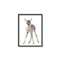 Picture of In Front Deer _GroupedProduct_Rectangle_Portrait_Mini_ _GroupedProduct_Rectangle_Portrait_Canvas_Framed_