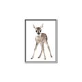 Picture of In Front Deer _GroupedProduct_Rectangle_Portrait_Mini_ _GroupedProduct_Rectangle_Portrait_Canvas_Framed_