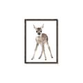 Picture of In Front Deer _GroupedProduct_Rectangle_Portrait_Mini_ _GroupedProduct_Rectangle_Portrait_Canvas_Framed_