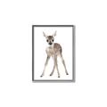 Picture of In Front Deer _GroupedProduct_Rectangle_Portrait_Mini_ _GroupedProduct_Rectangle_Portrait_Canvas_Framed_