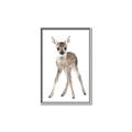 Picture of In Front Deer _GroupedProduct_Rectangle_Portrait_Mini_ _GroupedProduct_Rectangle_Portrait_Canvas_Framed_