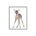 Picture of In Front Deer _GroupedProduct_Rectangle_Portrait_Mini_ _GroupedProduct_Rectangle_Portrait_Canvas_Framed_