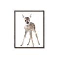 Picture of In Front Deer _GroupedProduct_Rectangle_Portrait_Mini_ _GroupedProduct_Rectangle_Portrait_Canvas_Framed_