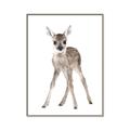 Picture of In Front Deer _GroupedProduct_Rectangle_Portrait_Mini_ _GroupedProduct_Rectangle_Portrait_Canvas_Framed_