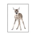 Picture of In Front Deer _GroupedProduct_Rectangle_Portrait_Mini_ _GroupedProduct_Rectangle_Portrait_Canvas_Framed_