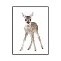 Picture of In Front Deer _GroupedProduct_Rectangle_Portrait_Mini_ _GroupedProduct_Rectangle_Portrait_Canvas_Framed_