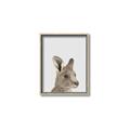 Picture of Kangaroo    _GroupedProduct_Rectangle_Portrait_Mini_ _GroupedProduct_Rectangle_Portrait_Canvas_Framed_