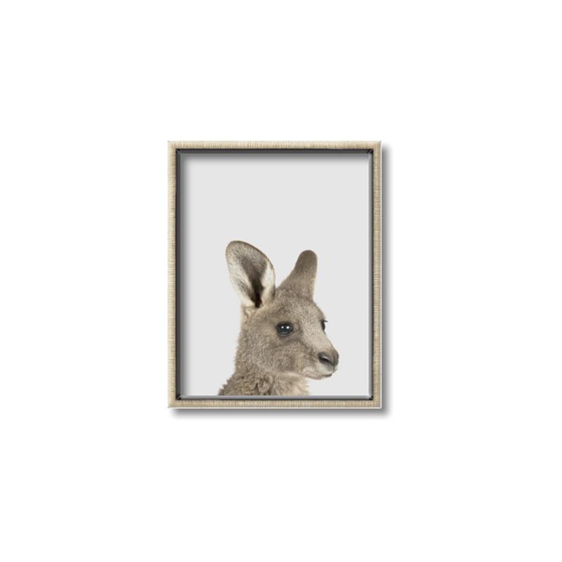 Picture of Kangaroo    _GroupedProduct_Rectangle_Portrait_Mini_ _GroupedProduct_Rectangle_Portrait_Canvas_Framed_