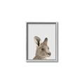 Picture of Kangaroo    _GroupedProduct_Rectangle_Portrait_Mini_ _GroupedProduct_Rectangle_Portrait_Canvas_Framed_