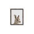 Picture of Kangaroo    _GroupedProduct_Rectangle_Portrait_Mini_ _GroupedProduct_Rectangle_Portrait_Canvas_Framed_