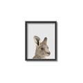 Picture of Kangaroo    _GroupedProduct_Rectangle_Portrait_Mini_ _GroupedProduct_Rectangle_Portrait_Canvas_Framed_
